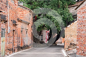 Walking in the Bagua Village of Licha Cun