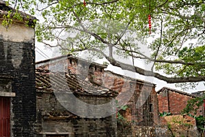 Walking in the Bagua Village of Licha Cun