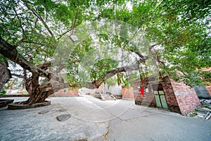 Walking in the Bagua Village of Licha Cun