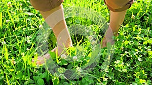 Walking barefoot on lush meadow