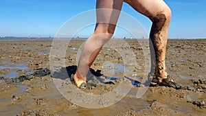 Walking barefoot in the mudflat in North Sea