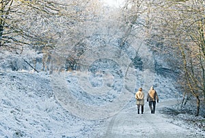 Walking on a beautiful day in winter