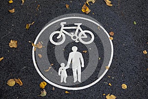 Walking and bicycle lane sign on track outdoors covered in leaves