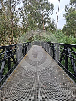 Walking Bridge Australian Bush land photo