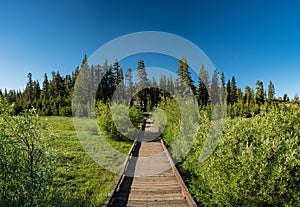 Walking Bridge through California Marshlands