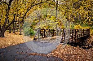 Walking Bridge Over Nine Mile Creek in Autumn photo