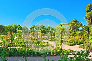 Walking through Buen Retiro Park. Rose Park