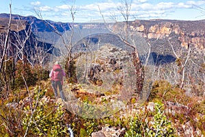 Walking through bushland in upper Blue Mountains