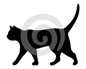 Walking cat. Vector black silhouette.