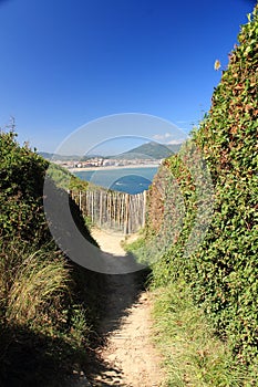 Walking on coastal pathway taking photos of scenic atlantic coast in summer blue sky, hendaye, basque country, france