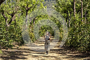 Walking through coffee plantation in Antigua, Guatemala