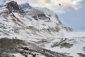 Walking in the Colombia icefields