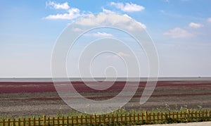 Walking on a country road looking at the blue sky and white clouds