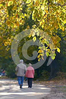 Walking couple