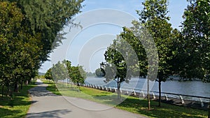 Walking and cycling path by the river