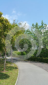 Walking and cycling path by the river