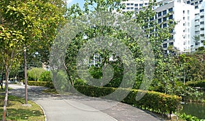 Walking and cycling path by the river