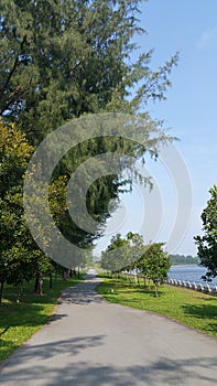 Walking and cycling path by the river
