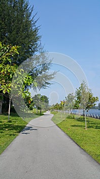 Walking and cycling path by the river