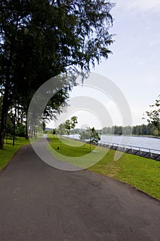 Walking and cycling path by the river