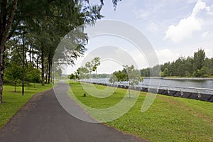 Walking and cycling path by the river