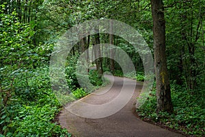 Walking and cycling trail through the Zwarte Beek forest, Limburg, Belgium