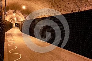 Walking in deep and long undergrounds caves with dusty bottles on racks, making champagne sparkling wine from chardonnay and pinor