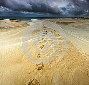 Walking in the desert photo