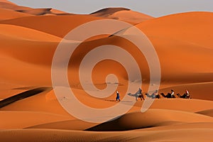 V poušť 