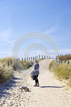 Walking with the dog in the dunes, Zoutelande in Netherlands photo