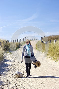 Walking with the dog in the dunes, Zoutelande photo