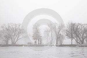 Walking Dog in Foggy Morning Lake in Winter