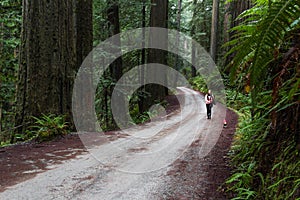 Walking the dog in the forest