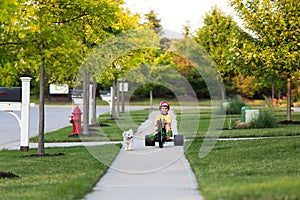 Walking the Dog with Tricycle in the Neighborhood photo