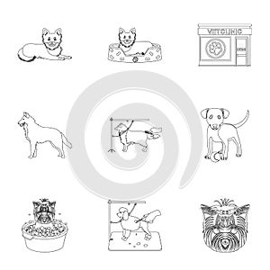 Walking with a dog, a vet clinic, a dog haircut, a puppy bathing, feeding a pet. Vet clinic and pet care set collection