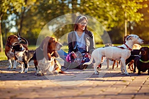 Walking dogs - woman dog walker enjoying with dogs