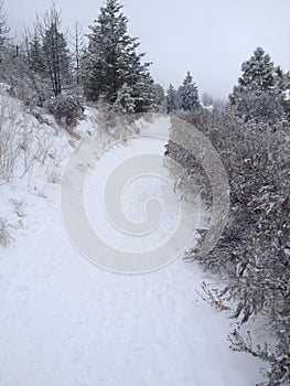 Walking down a beautiful scenic winter Kamloops trail