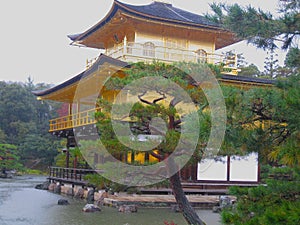 Walking through the driving rain to the golden temple in Kyoto