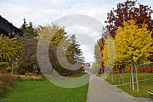 Walking in fall season of Lausanne , Switzerland