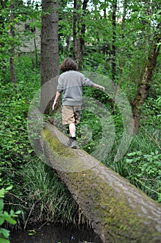 Walking on a fallen tree