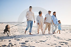 Walking, family and a dog outdoor at the beach in summer for fun, freedom and vacation. People, child and grandparents