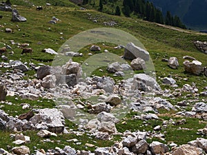 Walking in fiemme valley, trentino alto adige, italy