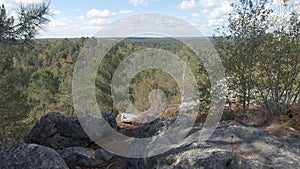 Walking in Fontainebleau Forest