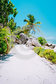 Walking footpath with palm trees leading to the beach at anse source d'argent, la digue, seychelles