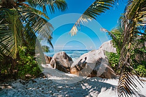 Walking footpath to the beach at anse source d`argent, la digue, seychelles