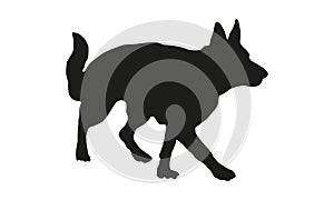 Walking german shepherd dog puppy. Black dog silhouette. Pet animals. Isolated on a white background