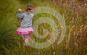 Walking through the high grass