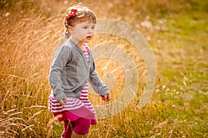 Walking through the high grass