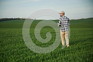 Walking, holding notepad. Handsome young man is on agricultural field
