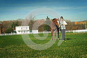 Walking horse in meadow